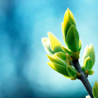 νευρολόγος αθήνα - neurology athens